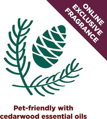 Arm & Hammer Forever Fresh Clumping Cat Litter Cedarwood, MultiCat 18lb, Pet Friendly with Essential Oils
