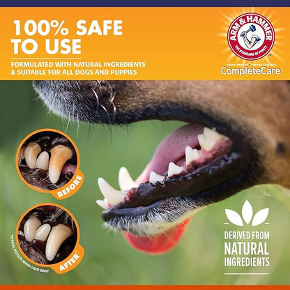 Arm & Hammer Complete Care Enzymatic Dog Toothpaste with Baking Soda and Calcium, Fluoride Free Formula for Plaque Tartar Control and Fresh Breath, Chicken Flavor, 6.2 Oz - 6 Pack