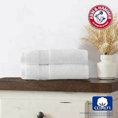 Arm & Hammer Quick Dry Hand Towels, 2 Piece, Light Blue