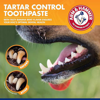 Arm & Hammer for Pets Tartar Control Dog Dental Care Kit, Dog Toothpaste Kit with Toothbrush and Finger Brush for Oral Hygiene and Fresh Breath Care, Banana Mint Flavor, 2.5 oz, 3-Piece Kit